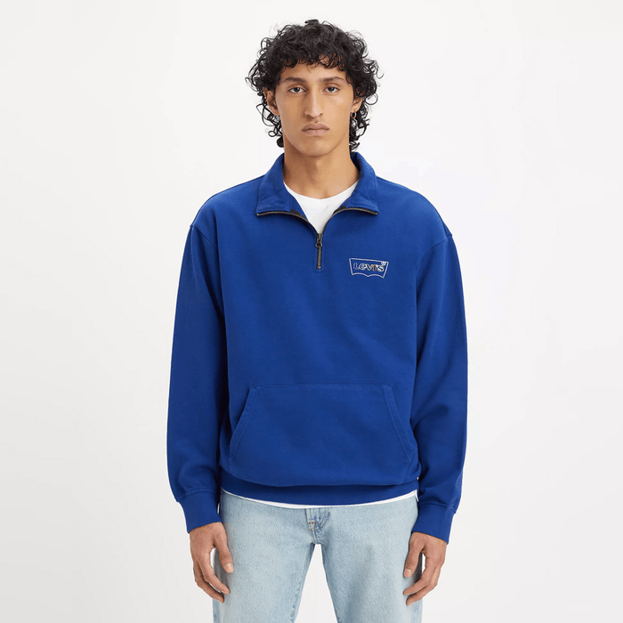 RELAXED GRAPHIC 1/4 ZIP